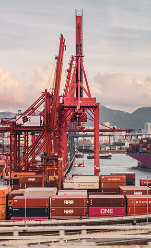 OM International Logistics Movers Lucknow